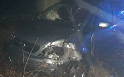 Opel uderzył w drzewo Milicz
