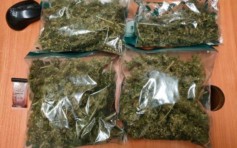W Miliczu policjanci zabezpieczyli 1600 porcji marihuany